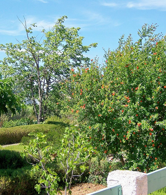 Accueil plantes du Val d’Orbieu, hôtel de charme à deux pas de l’Hôpital Privé Elsan du Grand Narbonne