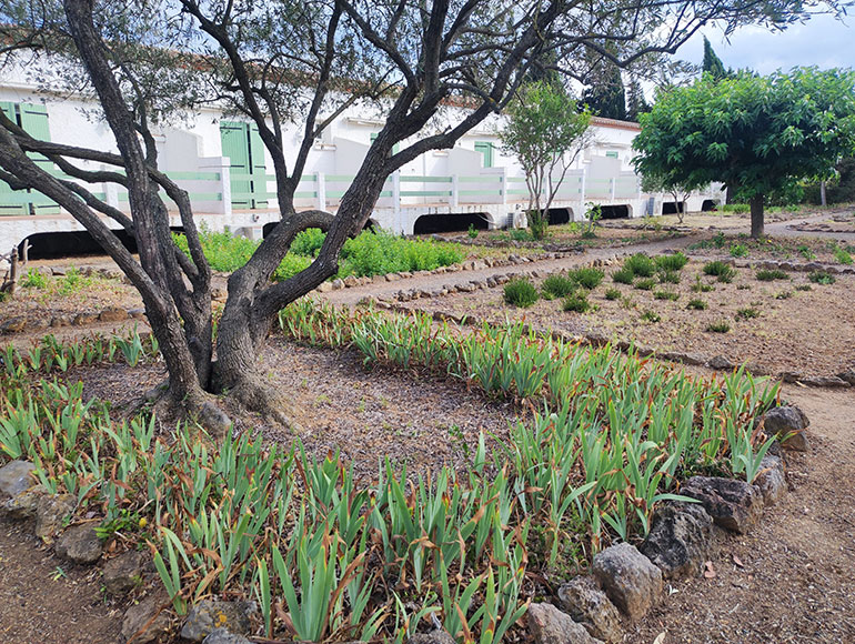 Jardin du Relais du Val d’Orbieu proche de Montredon-des-Corbières